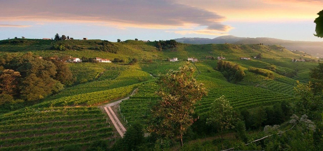 Villa Sandi estate in Cartizze